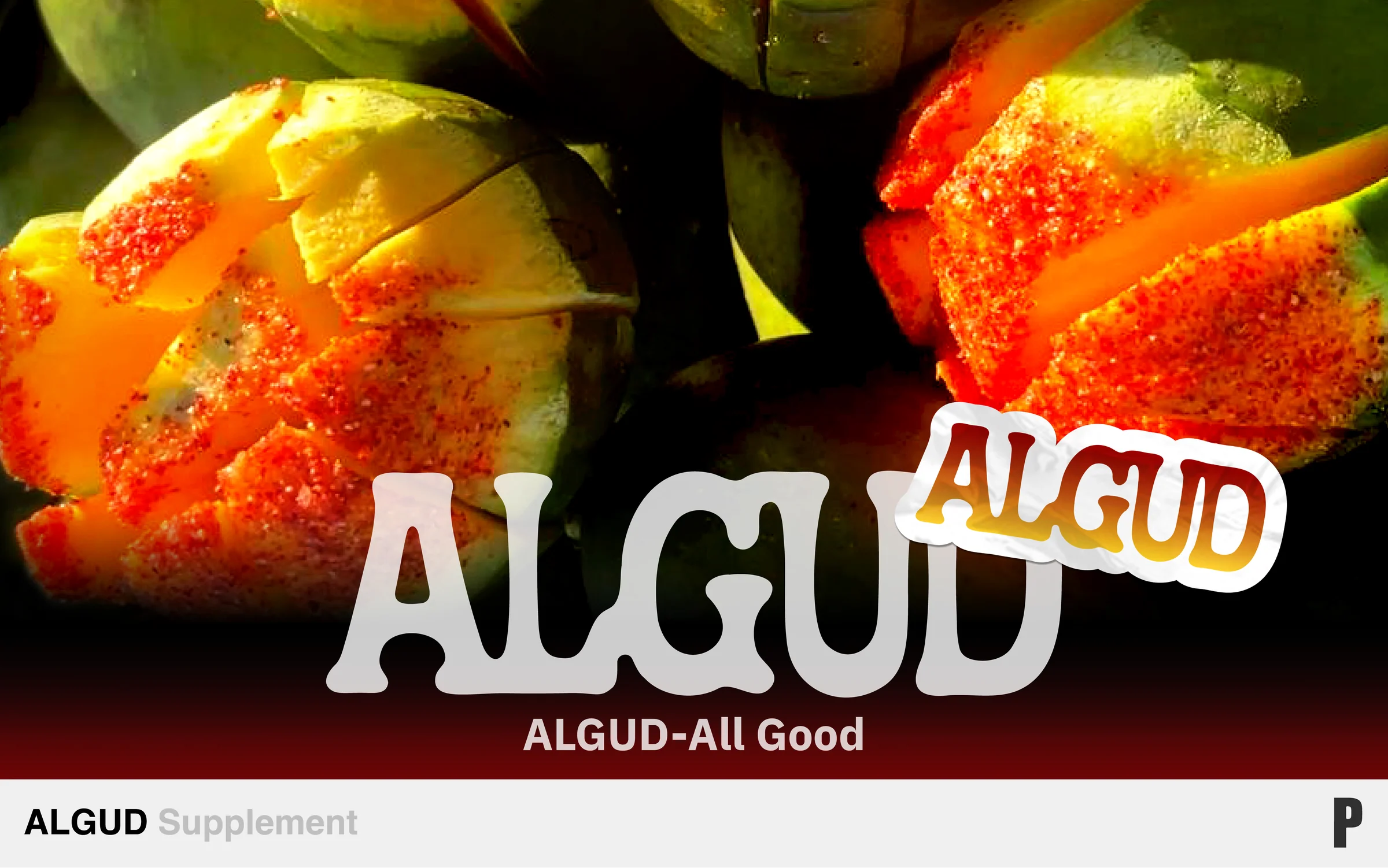 ALGUD Supplement